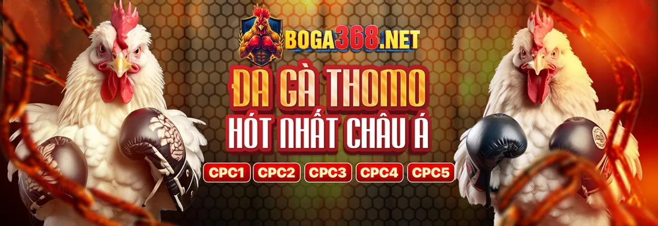 Tin tức và cập nhật mới nhất từ Nohu09