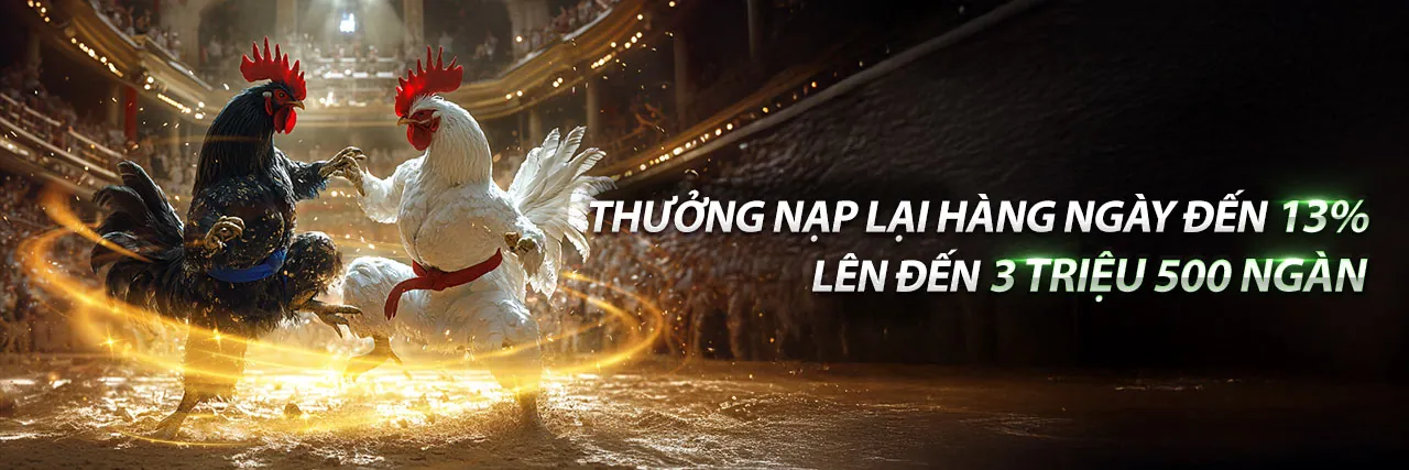 Đá Gà Trực Tuyến Nohu09